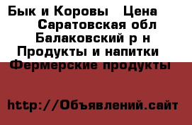 Бык и Коровы › Цена ­ 270 - Саратовская обл., Балаковский р-н Продукты и напитки » Фермерские продукты   